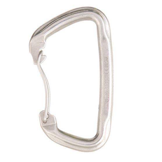 Cypher Gym Stainless Steel Wire Gate Carabiner