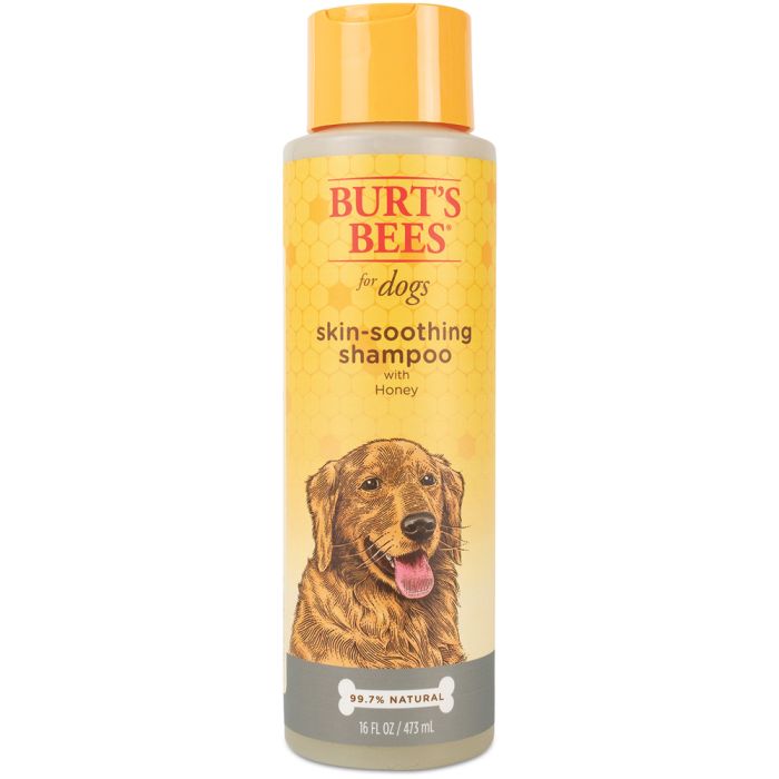 BurtS Bees Skin Soothing Shampoo With Rosemary And Honey 16 Oz