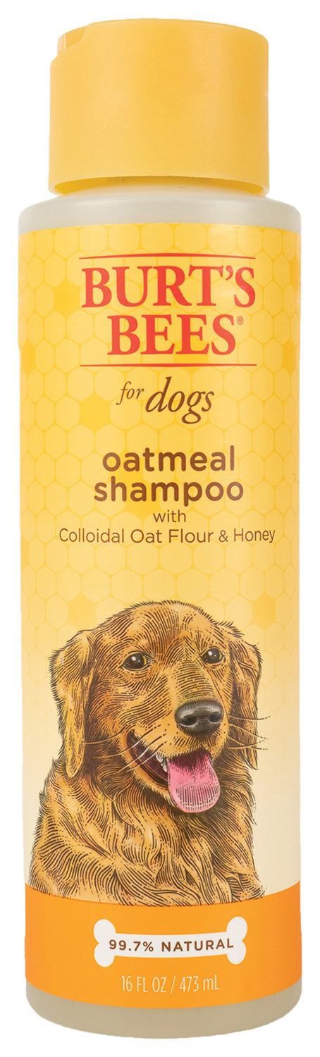 BurtS Bees Oatmeal Dog Shampoo With Colloidal Oat Flour And Honey 16 Oz