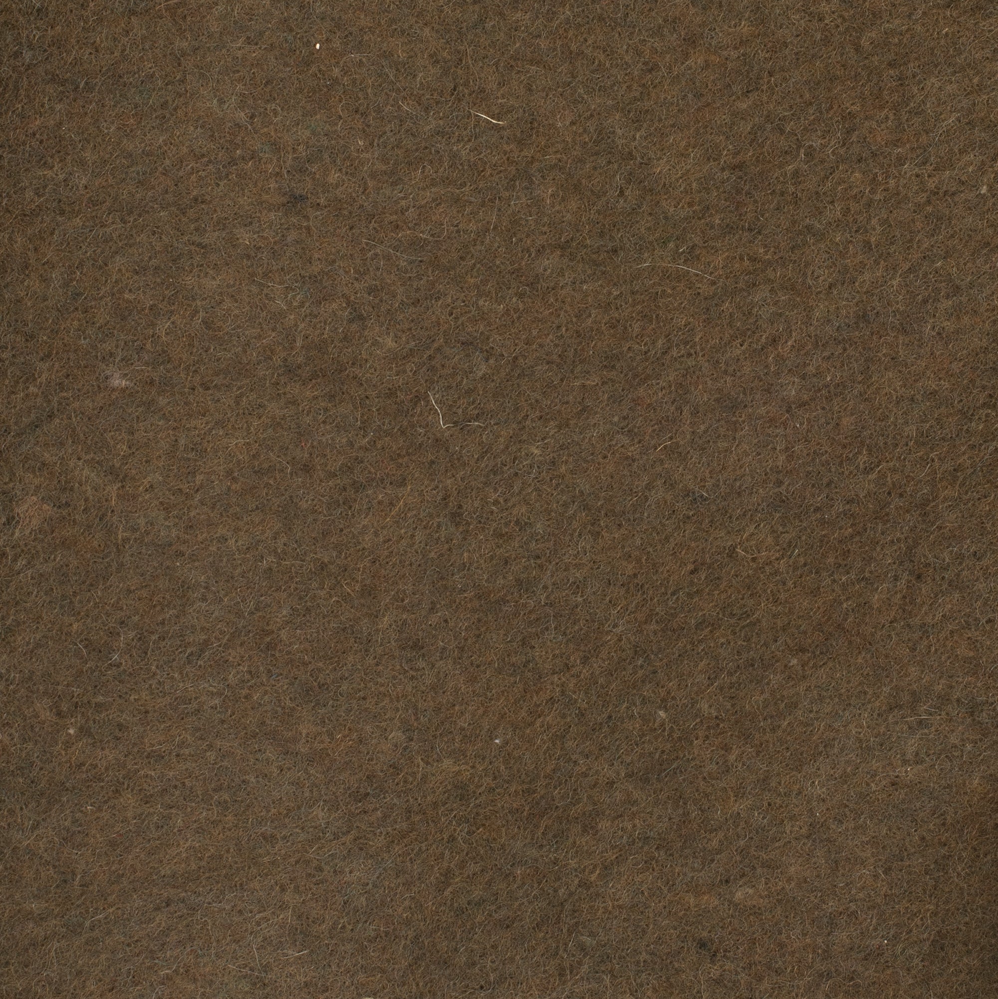 Solid Navy Wool 55 Peregrine SOLID OLIVE GREEN WOOL 55