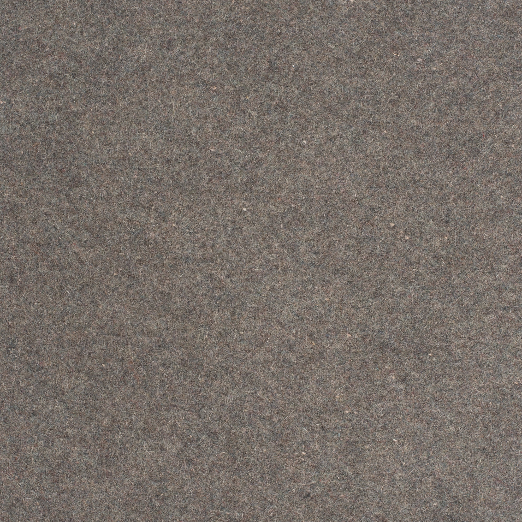 Woven Wool 80 Grey Peregrine WOVEN WOOL 80 GREY