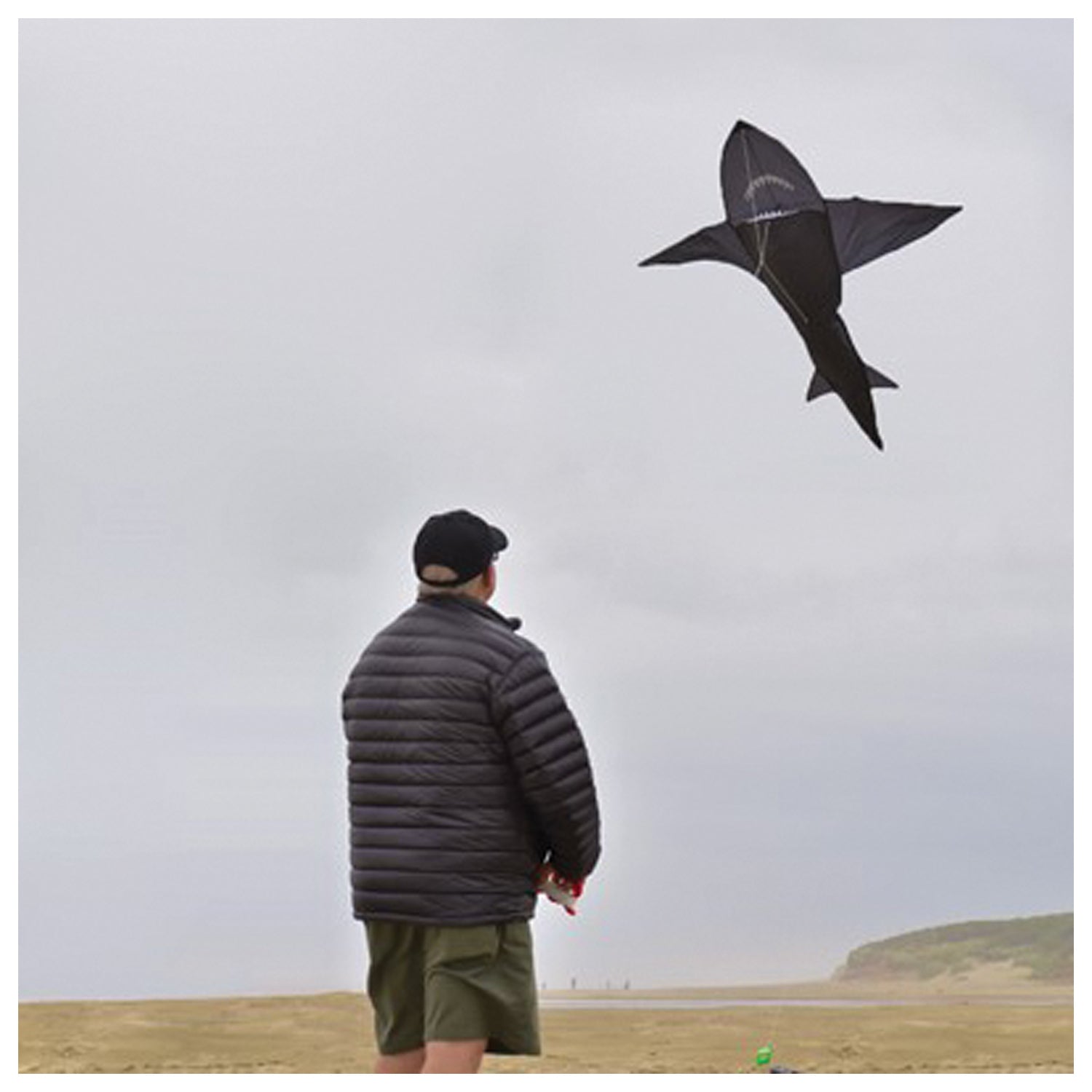 3D 4' Shark Kite In The Breeze 3D 4' SHARK KITE